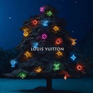 Meet your Posher, Ivy